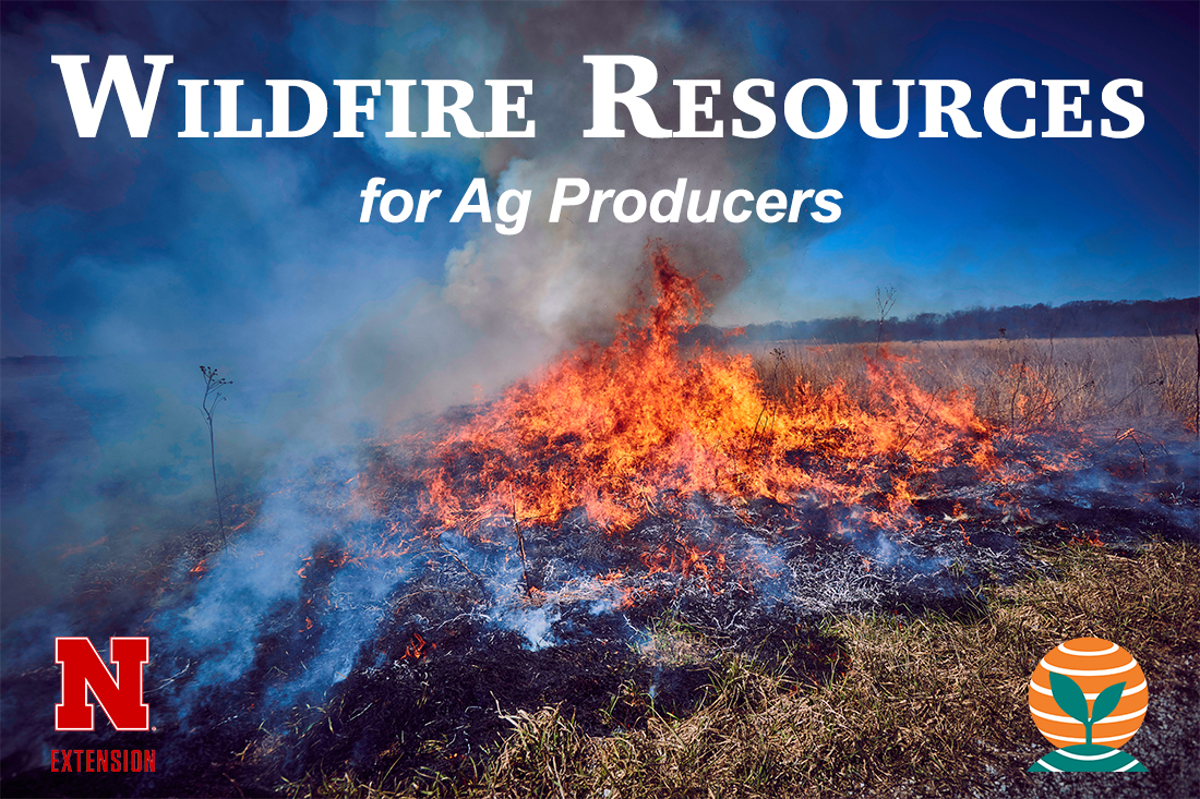 Wildfire Resources