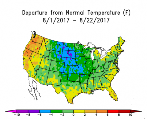 美国8月前三周的气温变化图