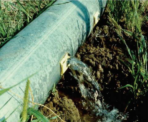 从灌溉管中流出的水