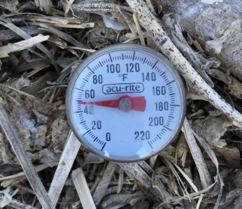 测量土壤温度的肉温度计