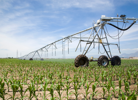 玉米灌溉系统