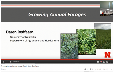 视频《种植年度牧草》的屏幕显示，这是2019年4月9日洪水后会议提供的五个视频之一。