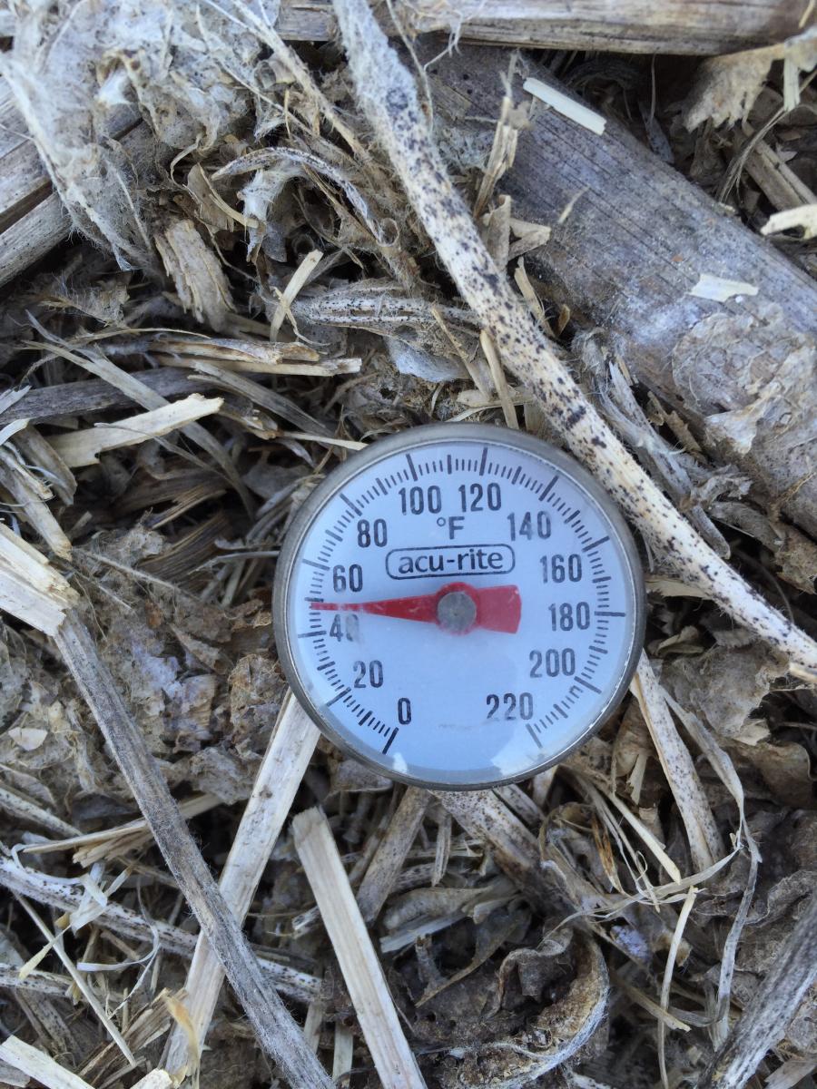 测量土壤温度的肉类温度计