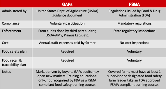gap和FSMA的例子