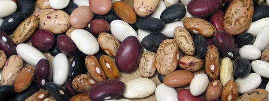 Close up of dry edible beans