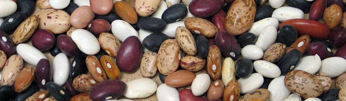 Mixed dry edible beans
