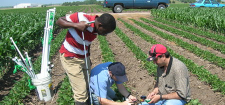 大学研究人员安装土壤水分传感器