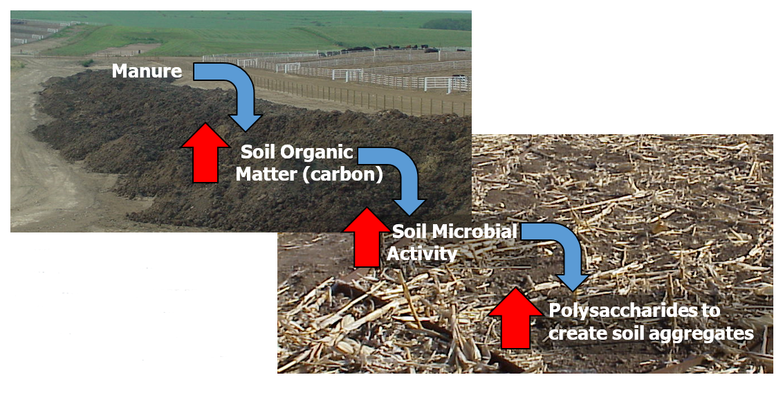 肥料增强土壤质量的过程