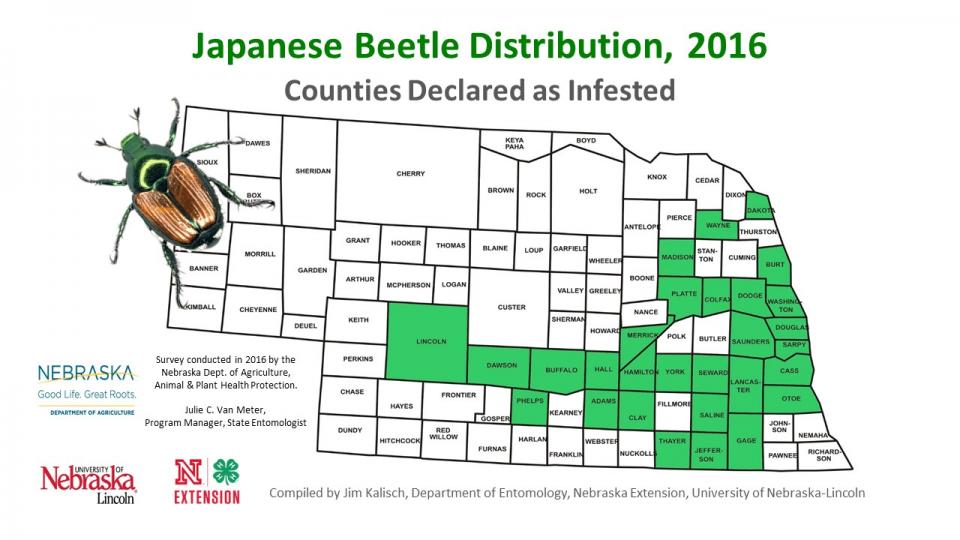内布拉斯加州日本甲虫分布图