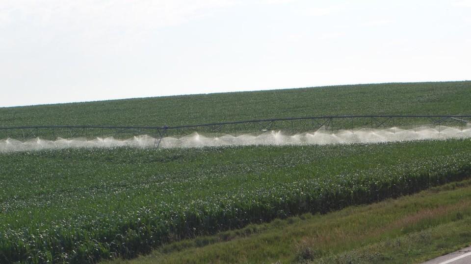 作物的灌溉