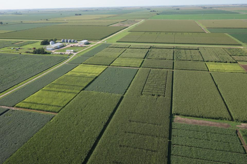 该大学中南部农业实验室靠近克莱中心的田间试验鸟瞰图。