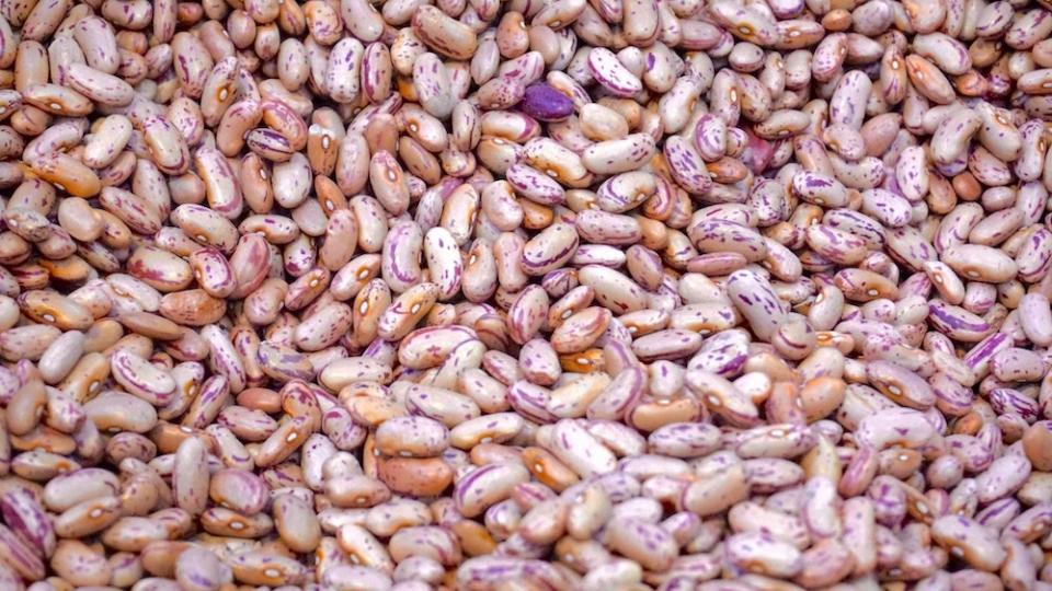 紫豆和米色豆