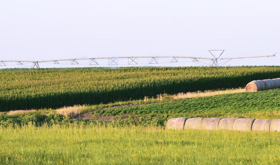 玉米和大豆领域与中心枢轴灌溉