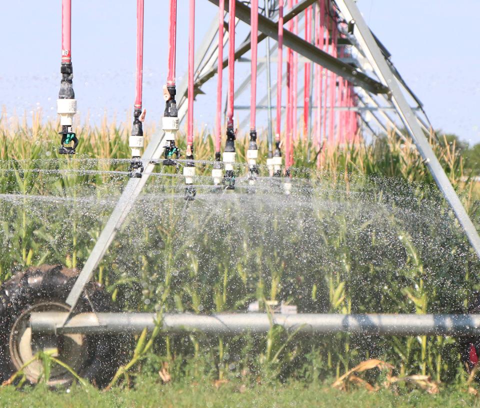 Irrigation Season to End in September CropWatch University of