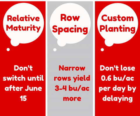 3 top tps for delayed soybean planting
