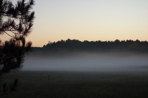 Photo of ground fog indicating a temperature inversion