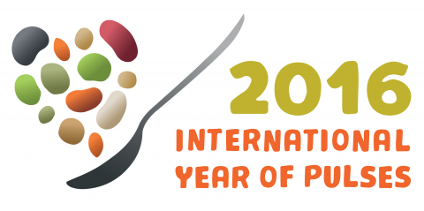 International Year of the Pulse icon