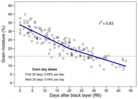 ISU对玉米干化率的研究图表