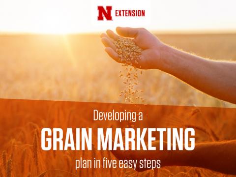 Grain Marketing graphic