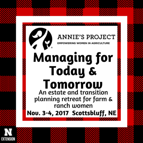 《安妮的计划》广告，11月3日至4日
