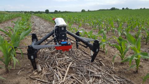 图1所示。无人机上的多光谱传感器收集的数据将用于指导季节性氮肥的施用，这是由中北部地区可持续农业研究和教育计划资助的生产者研究项目的一部分。(摄影:Laura Thompson)