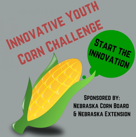 创新青少年玉米挑战赛
