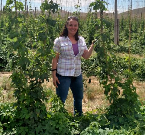 Haley Oser于2015年在大学植物病理部门和山羊酿造公司完成实习后赢得了植物健康学位的医生。