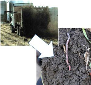 说明利用粪肥改良土壤团聚体。