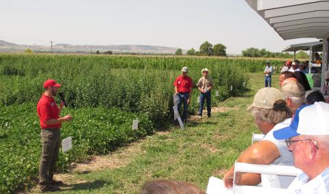 Nevin Lawrence speaking at 2016 Nebraska Dry Bean Field Day