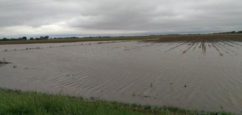 内布拉斯加州中南部被洪水淹没的田地