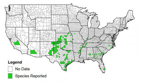 报告甘蔗蚜虫的县地图