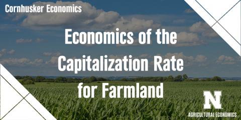 农地资本化率经济学。全文链接