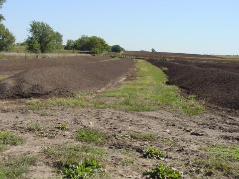 Land-applied manure
