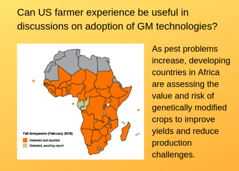 信息图显示非洲地图和秋粘虫感染范围，并询问美国农民的经验在采用转基因技术的讨论中是否有用?