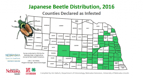 2016年内布拉斯加州日本甲虫分布图