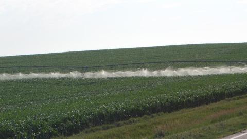 作物灌溉