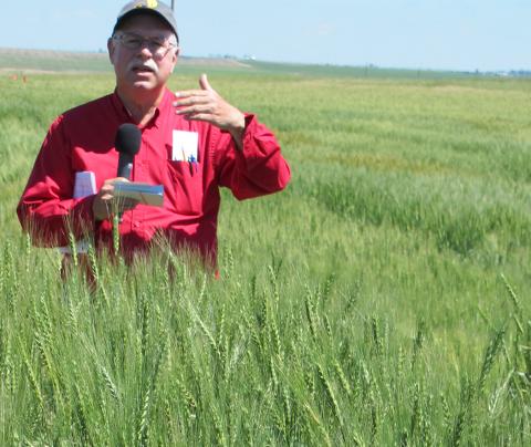 P.斯蒂芬博士Baenziger在2018年在Sidney附近的高Plains AG Lab的一个小麦品种试验领域演讲。