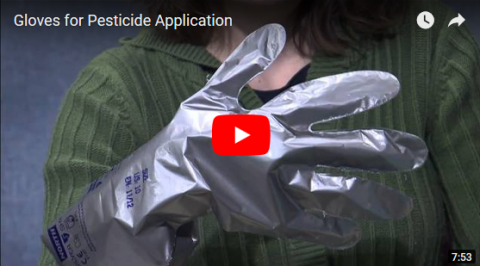 关于手套作为个人防护设备的UNL害虫教育视频的屏幕截图
