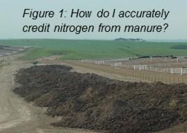 我如何准确地将氮从粪肥中扣除？