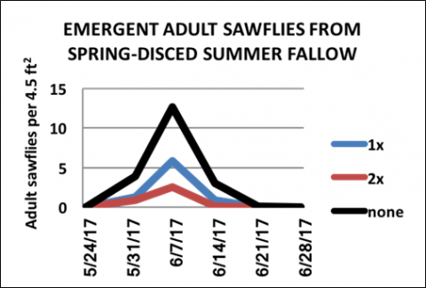 图表观察成年锯蝇从春季盘夏季休閒