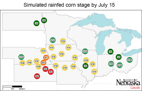 玉米产量预测中心监测的雨率玉米生长阶段