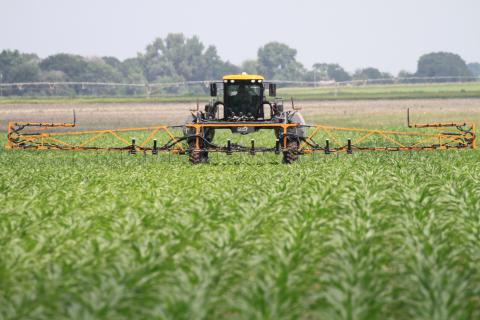 季节性氮气（UAN）在农场研究研究中应用于玉米。对于具有疑似氮气损失的领域，农场研究是评估季节季节和推荐方法的好方法。（照片由Richard Ferguson）