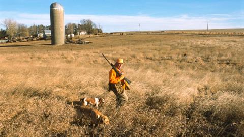 在伯特县，一个猎人带着他的狗在私人田地里散步