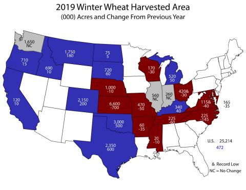 美国农业部NASS对2019年冬小麦收获面积的估计以及与2018年的差异。内布拉斯加州将收获100万英亩小麦，比2018年减少1万英亩。