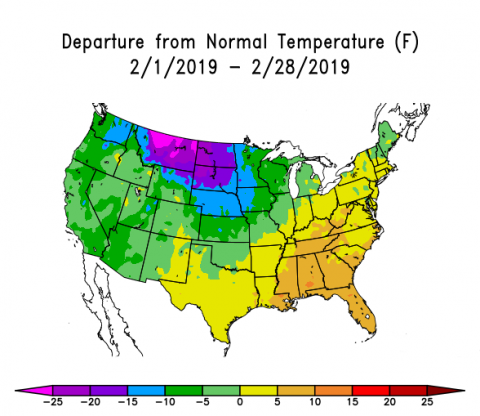 美国地图显示2019年2月气温偏离正常水平