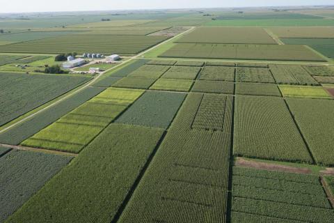 克莱中心附近大学中南部农业实验室田间试验鸟瞰图。