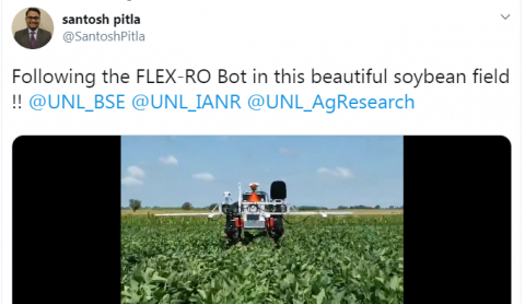 Flex-Ro机器人在大豆地里工作