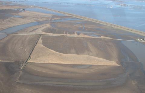 在洪水后退后，留下田地和农场，剩下宽松的玉米渣层，需要被置于。