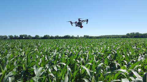 Drone equipped with sensors to read nitrogen levels