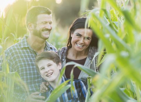 一个幸福的家庭站在玉米地里